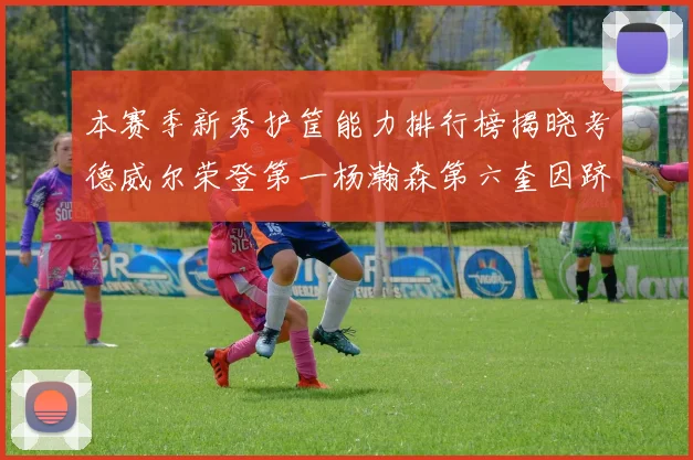 本赛季新秀护筐能力排行榜揭晓考德威尔荣登第一杨瀚森第六奎因跻身前十